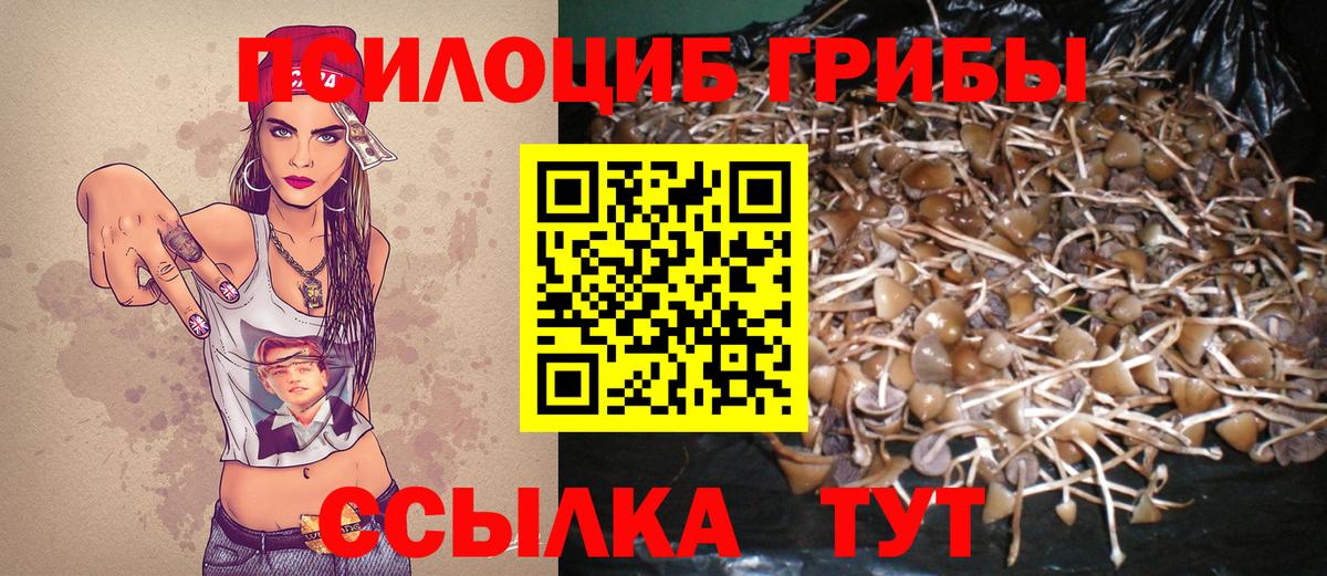 Псилоцибиновые грибы Psilocybe  как найти закладки  Анапа  Вход с VPN  Псилоцибиновые грибы мицелий 